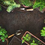 LAND SCAPPING